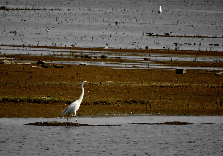DSC00740_.jpg