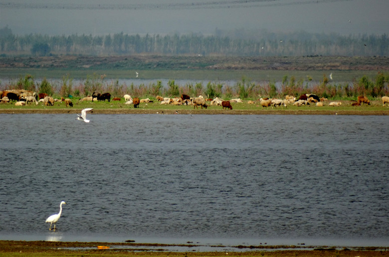 DSC00744_.jpg