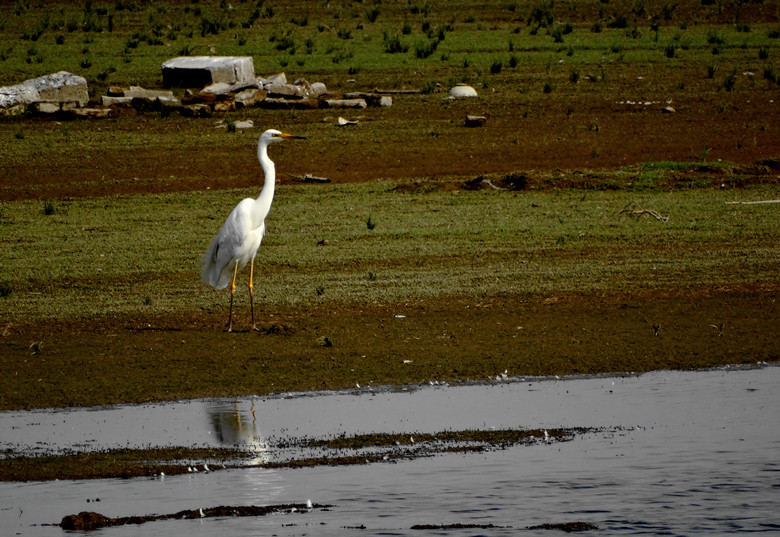 DSC00749_.jpg