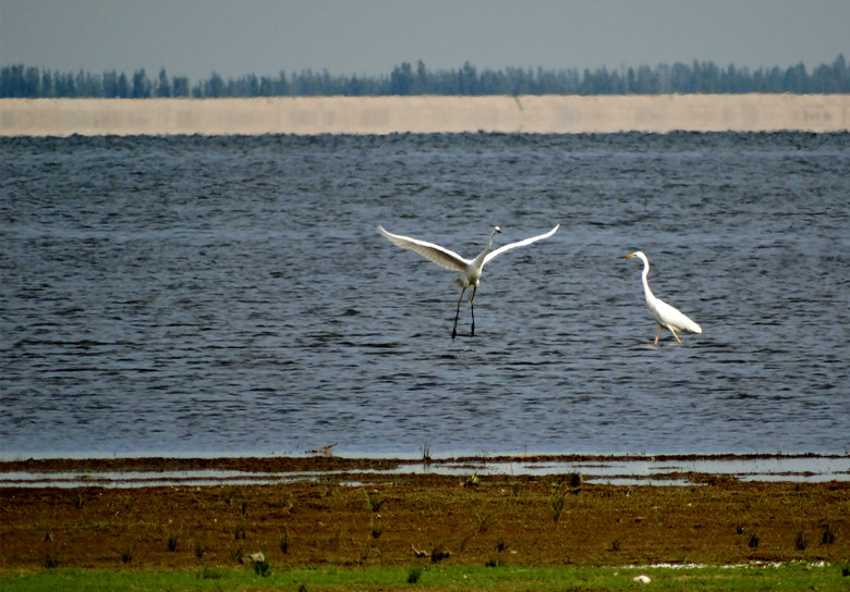 DSC00758_.jpg