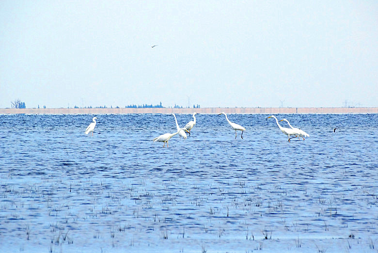 DSC00806__.jpg