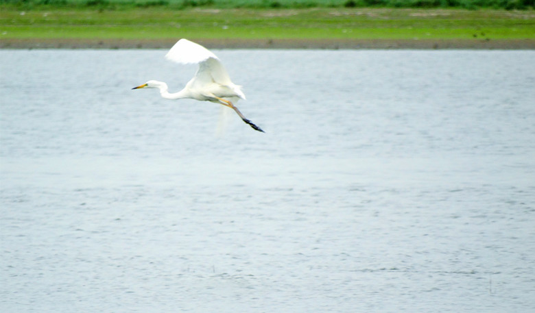 DSC00878_.jpg