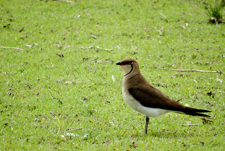 DSC01077_.jpg