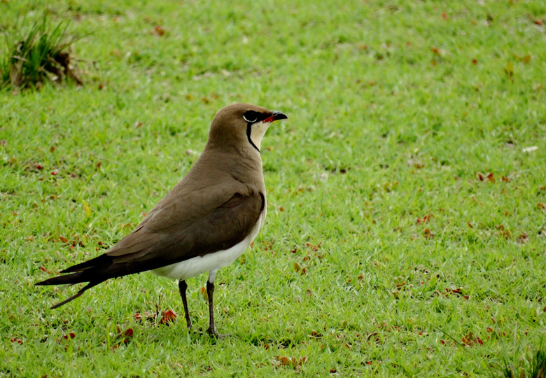 DSC01104_.jpg