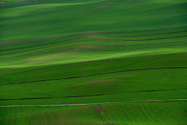 DSC_0002.JPG