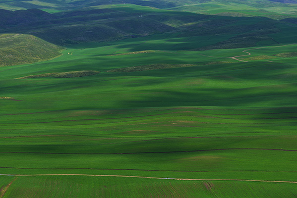 DSC_0030.JPG