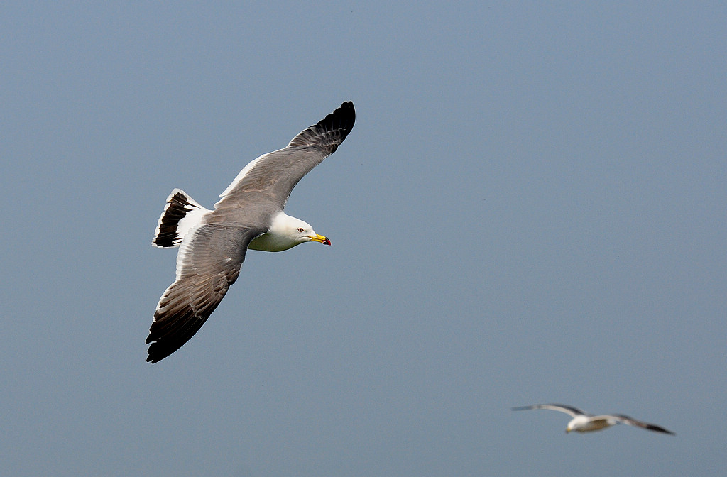 2DSC_0853  2.jpg
