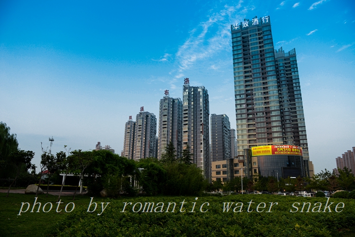 DSC_9889.jpg