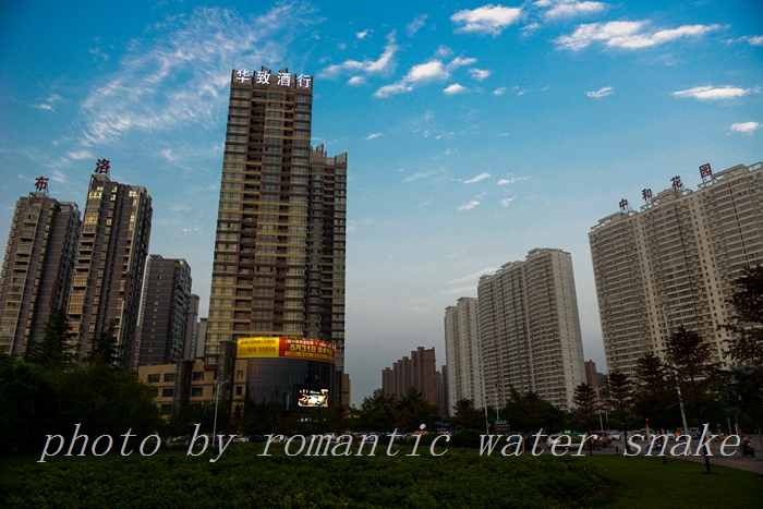 DSC_9890.jpg