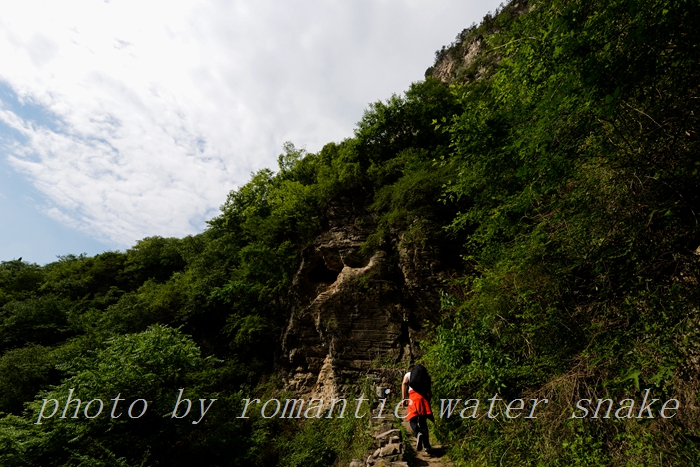 DSC_9906.jpg