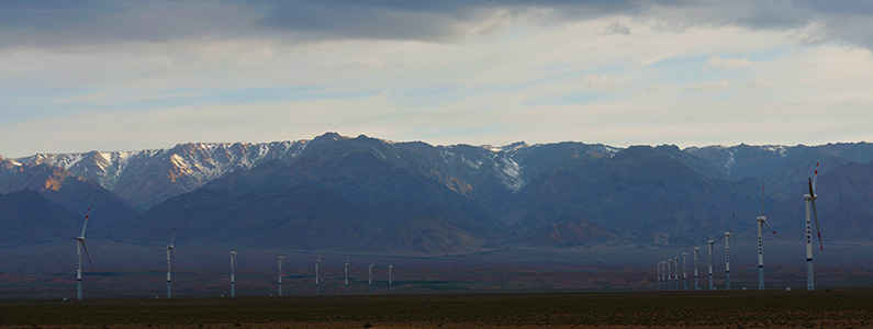DSC_0309.JPG