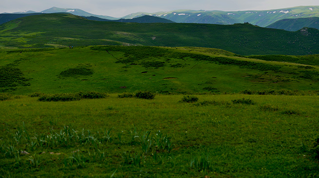 DSC_0176.JPG