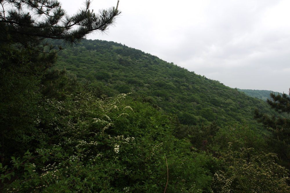 _I6D9503.JPG