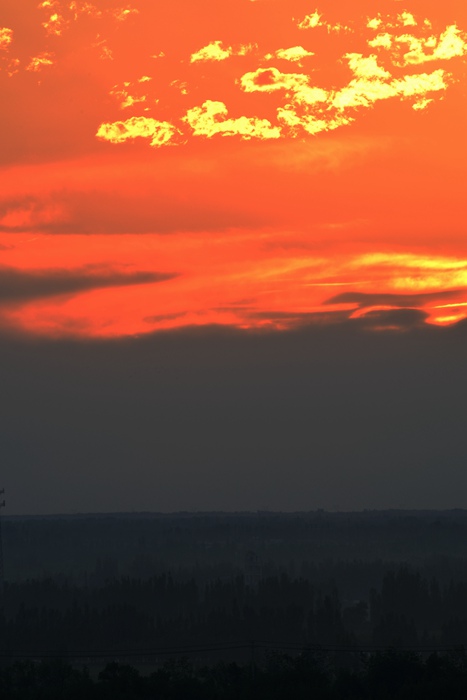 DSC_0128__.jpg