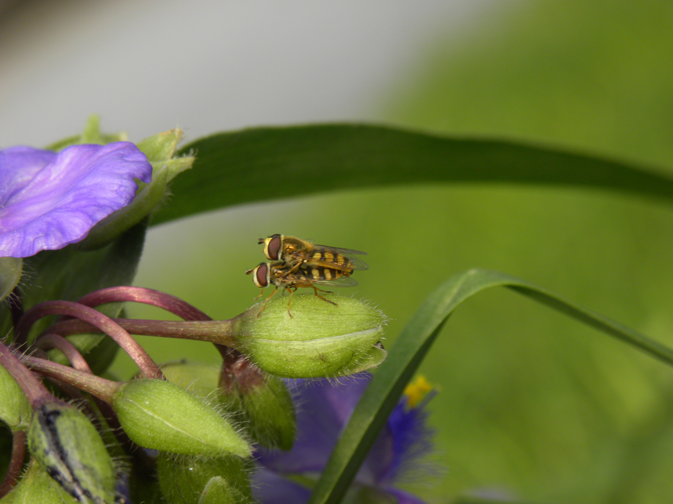 DSCN9205.JPG