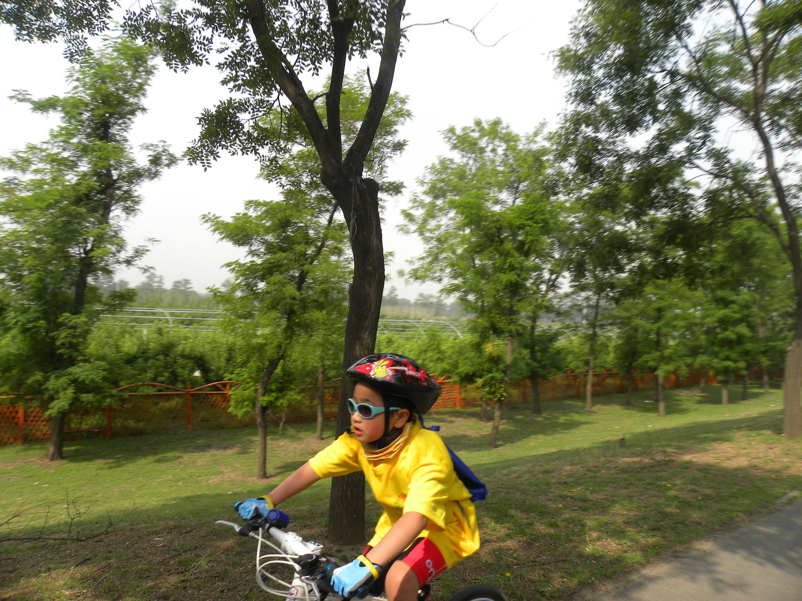 DSCN8438_.jpg
