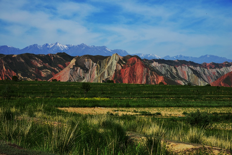 DSC_0230.jpg