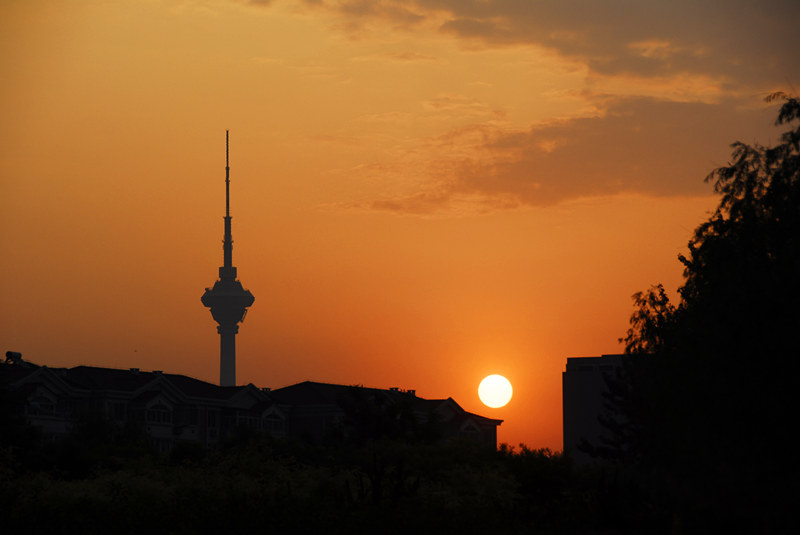 _SZH0338_.jpg
