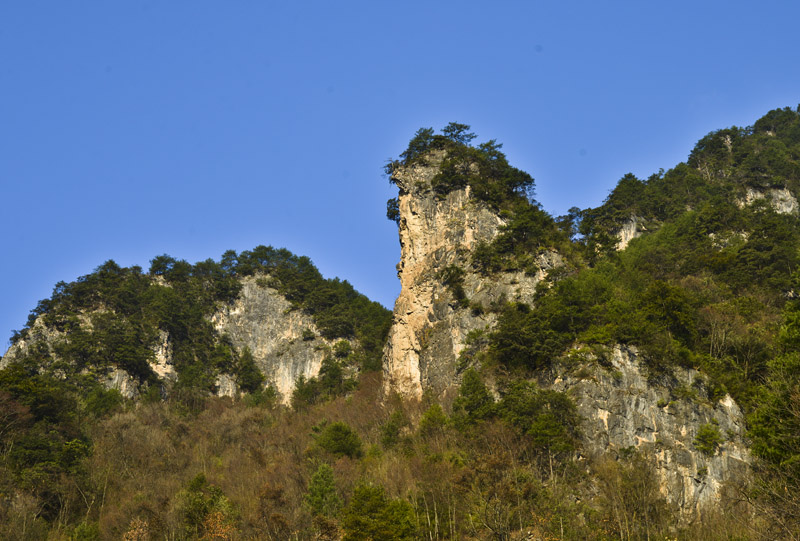 _LMZ6732.jpg