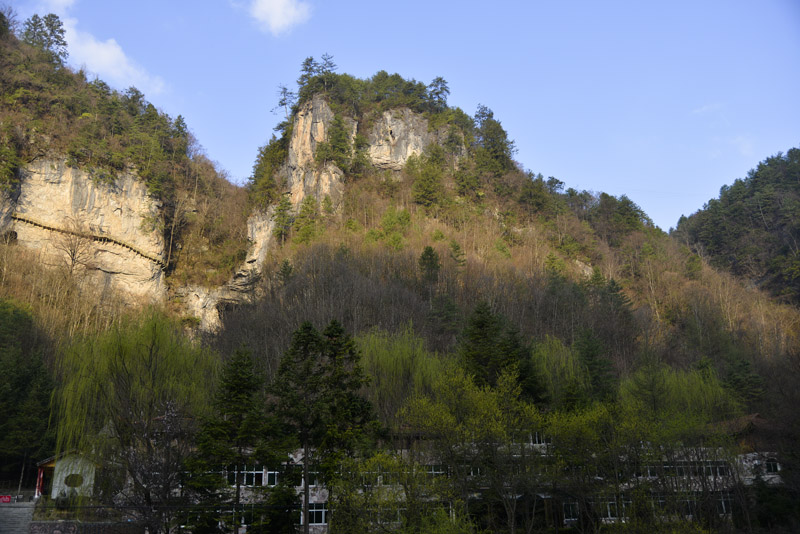 _LMZ6727.jpg