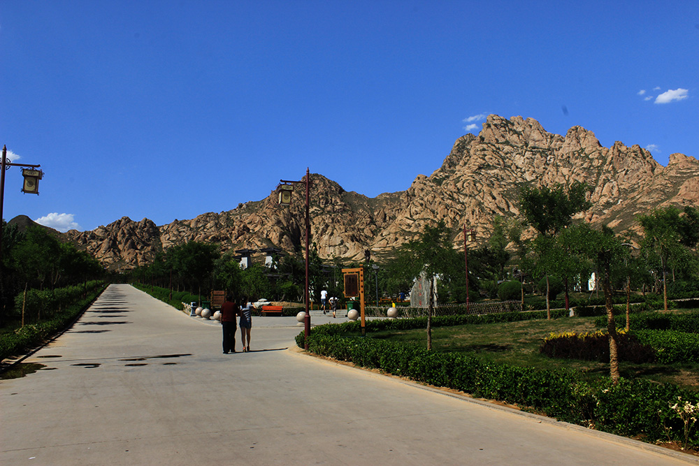 IMG_5936.jpg