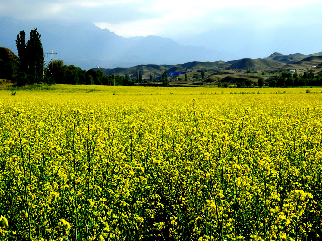 DSC01767__.jpg
