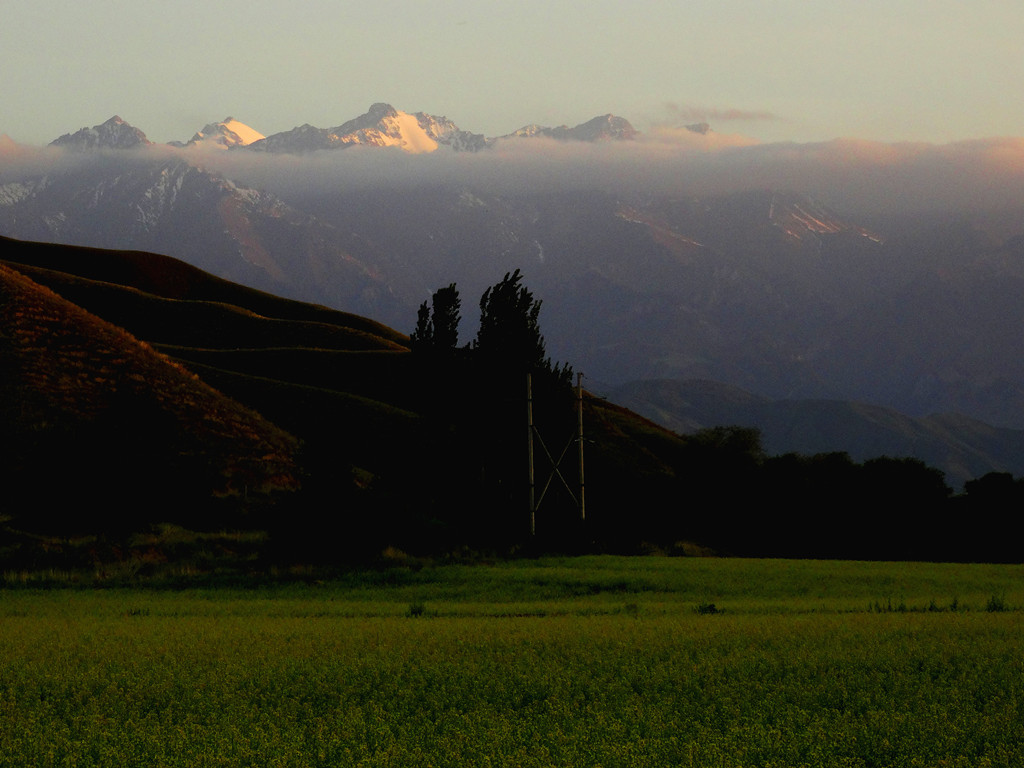 DSC01921__.jpg