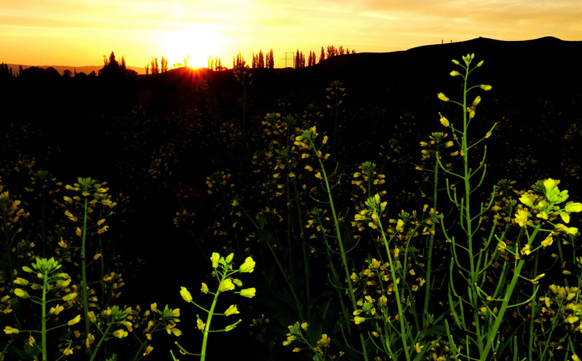 DSC02005___.jpg