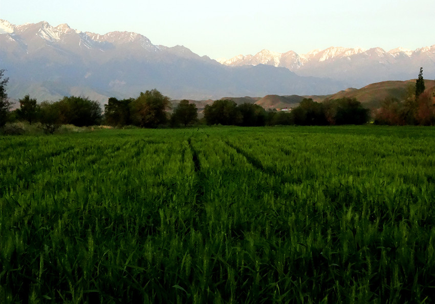 DSC02017__.jpg