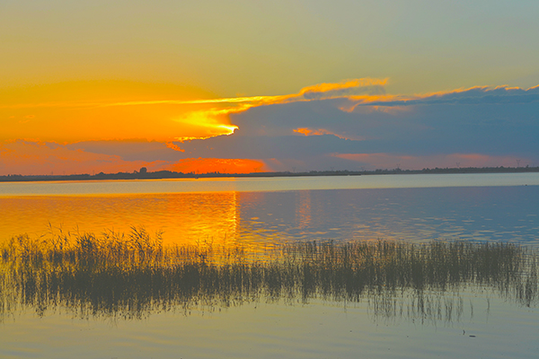DSC_0088.JPG