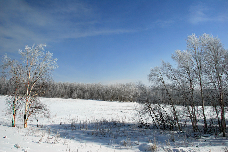 DSC_0128_.jpg