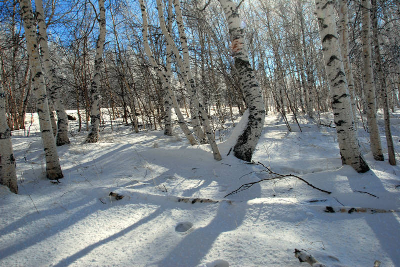 DSC_0404_.jpg