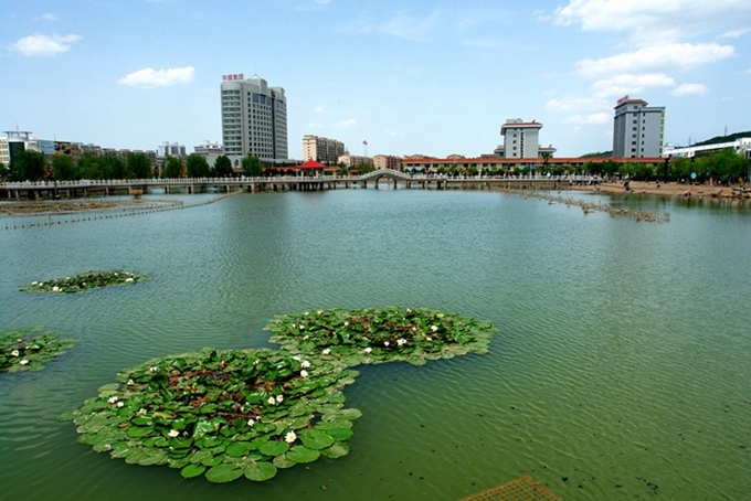 DSC05754_.jpg