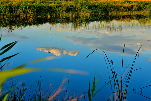 DSC_0060.JPG