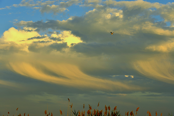 DSC_0080.JPG
