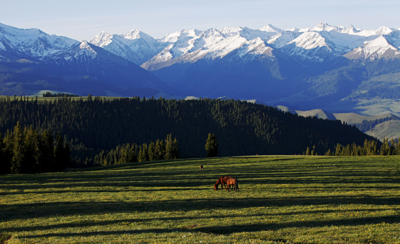 _MG_0244...jpg