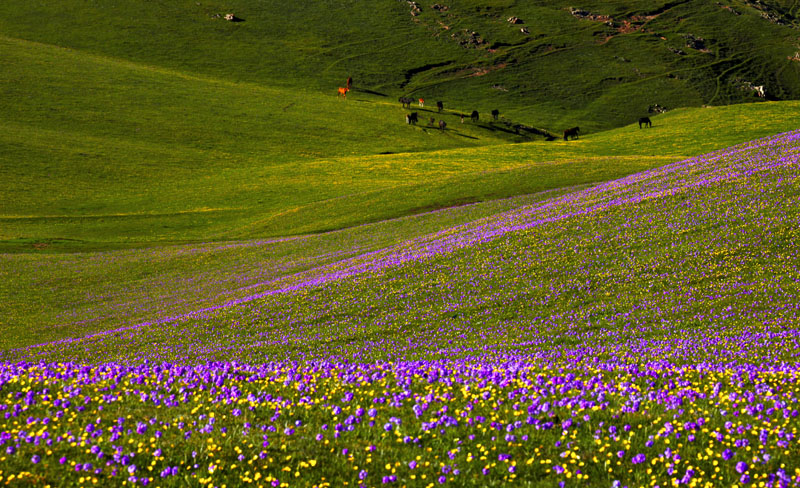 _MG_0024...jpg