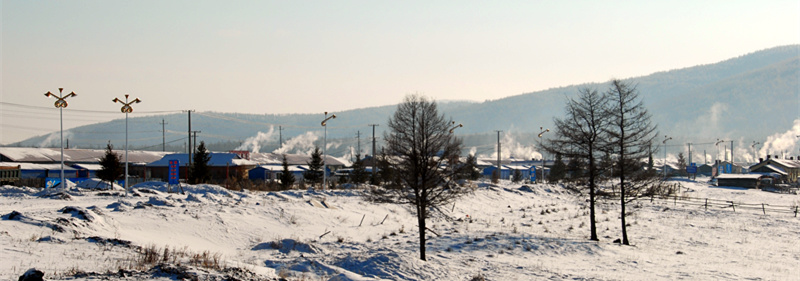 DSC_0197_.jpg