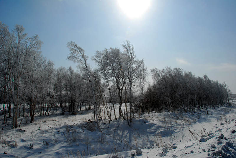 DSC_0130_.jpg