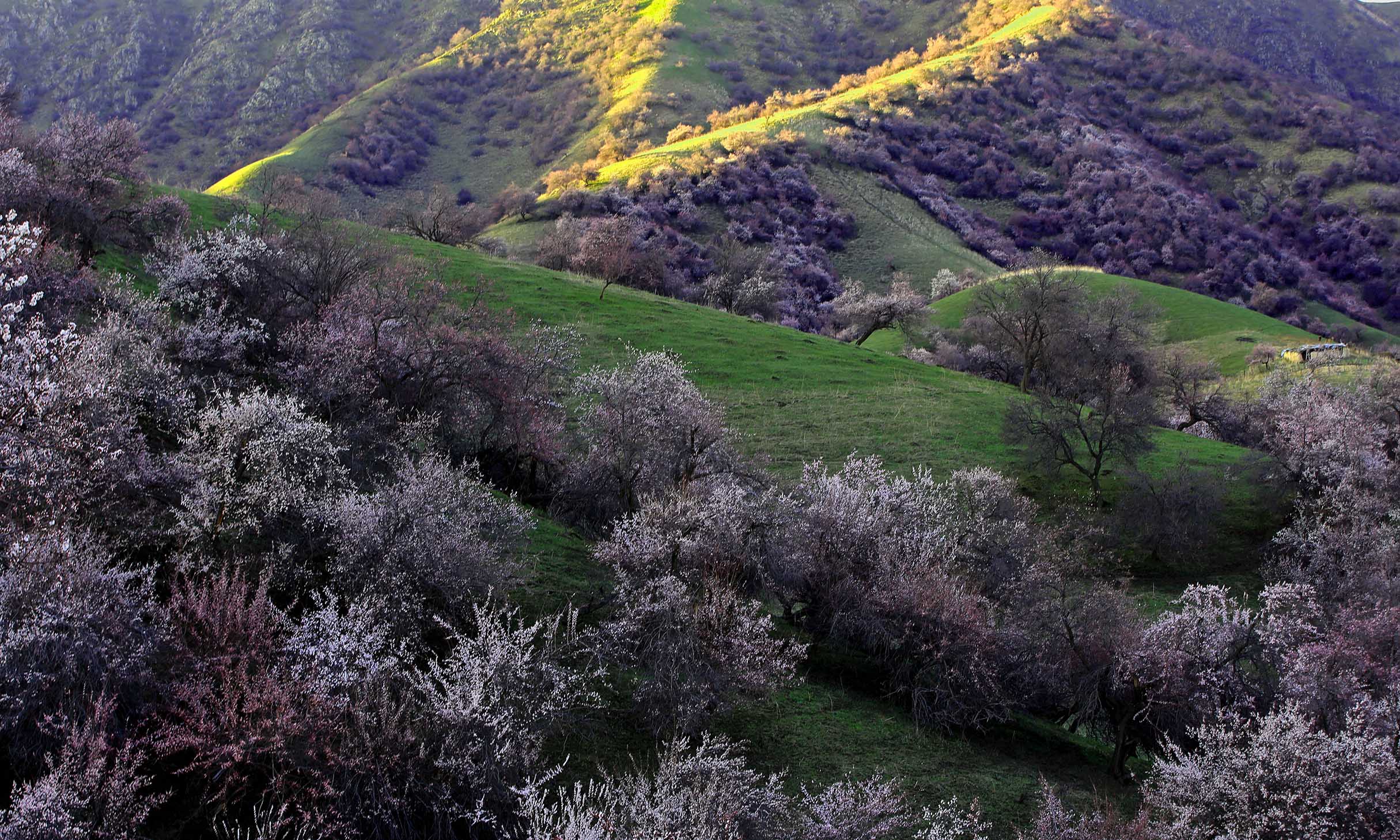 _H6A55401.jpg