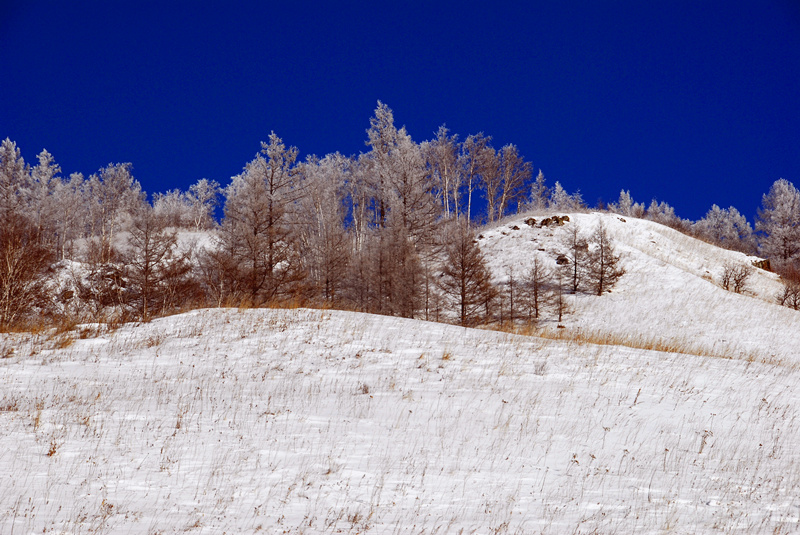 DSC_0391_.jpg