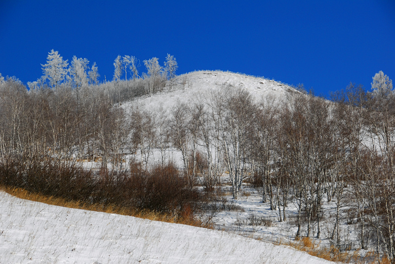 DSC_0396_.jpg