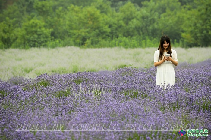 6_71842_3d5f7be27cb93a2.jpg