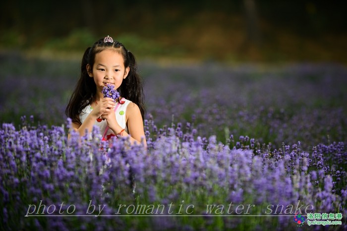 6_71842_1b4981bf2a969d8.jpg