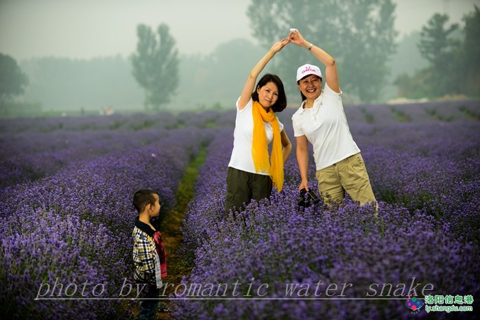 6_71842_7d7da679ef12ae0.jpg