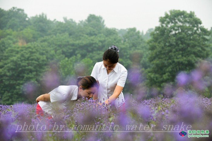 6_71842_66e9fa8f0af32ef.jpg