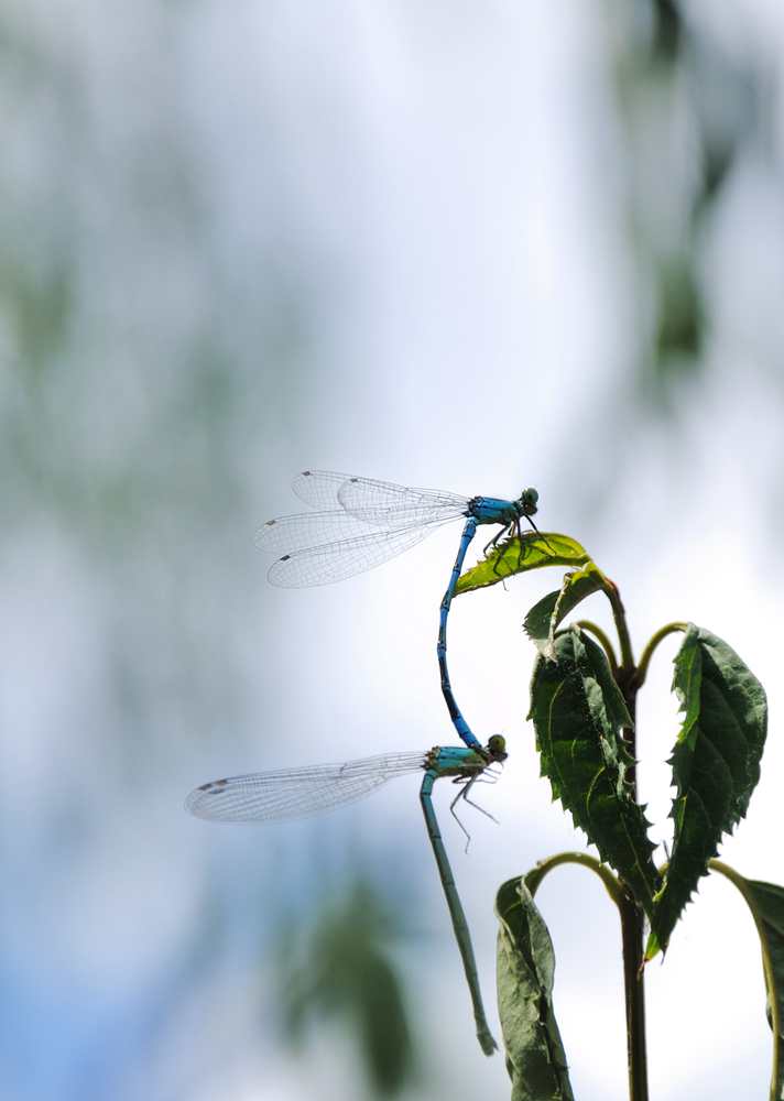 DSC_0086_.jpg