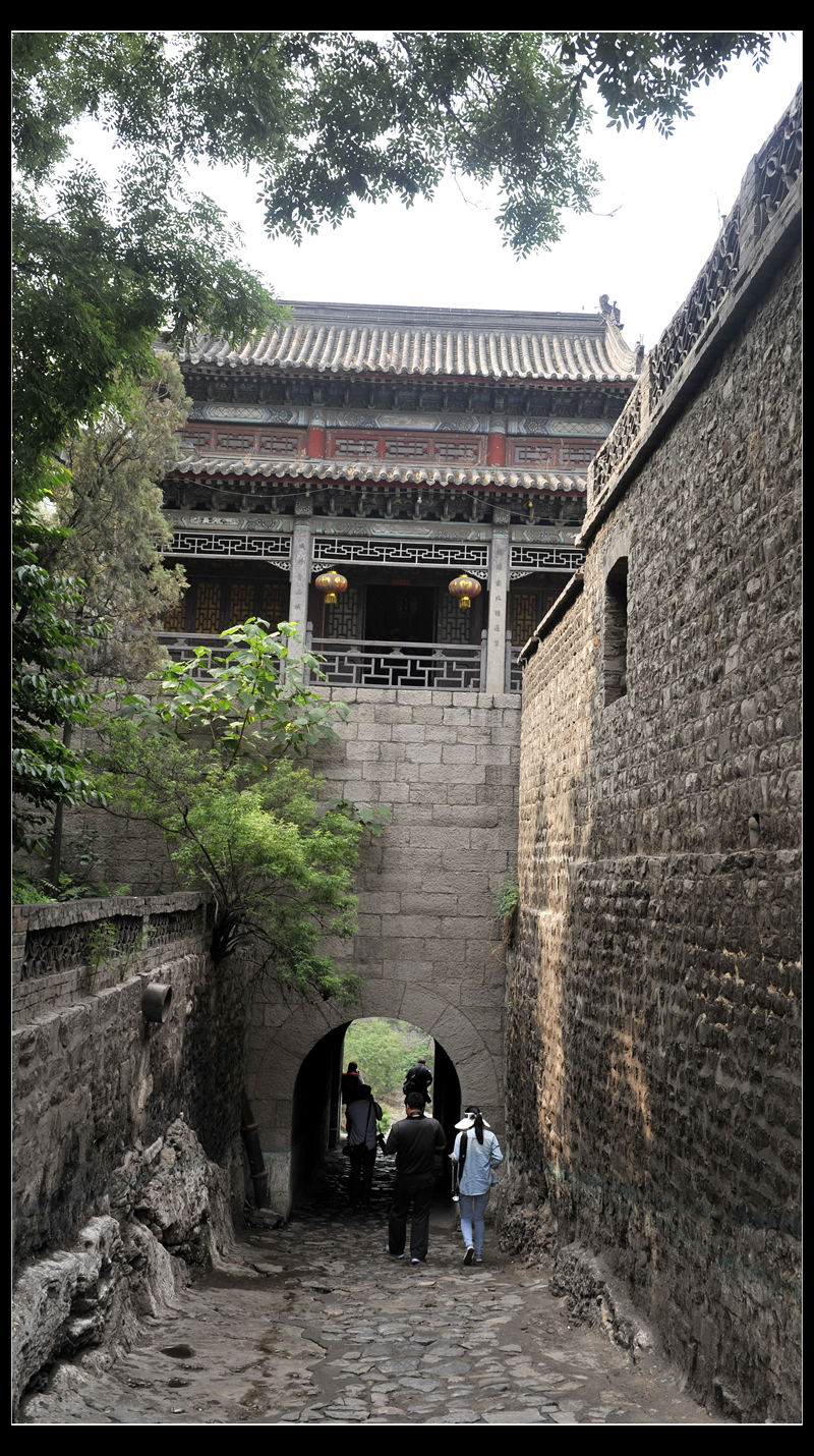 _DSC9557.JPG