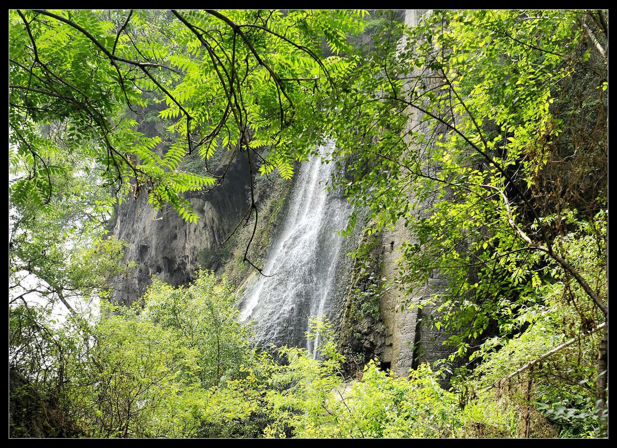 _DSC9596.JPG