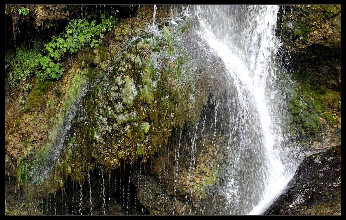 _DSC9624.JPG